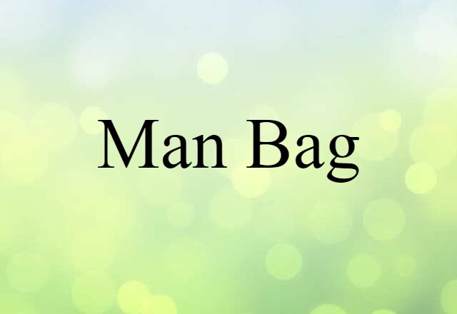 Man-bag (noun) Definition, Meaning & Examples