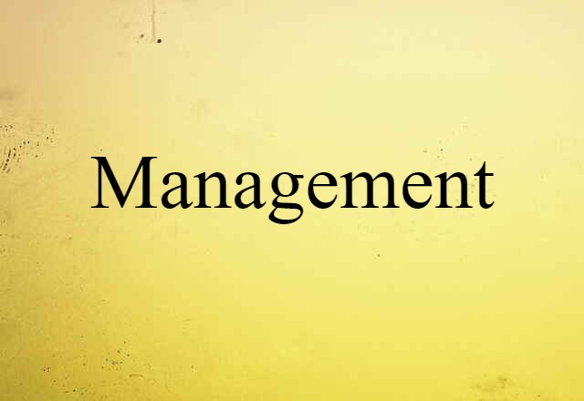 Management (noun) Definition, Meaning & Examples