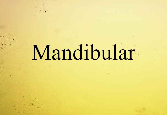 Mandibular (noun) Definition, Meaning & Examples