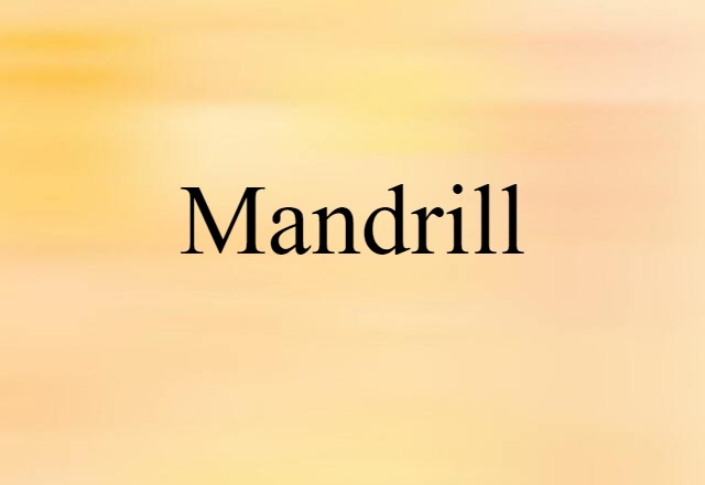 Mandrill (noun) Definition, Meaning & Examples