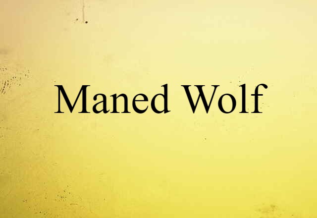 maned wolf