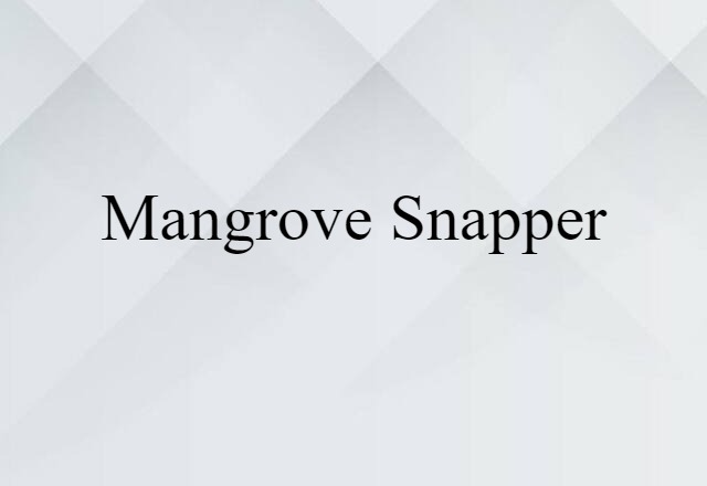 Mangrove Snapper (noun) Definition, Meaning & Examples