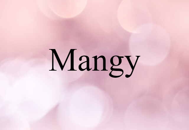 Mangy (noun) Definition, Meaning & Examples