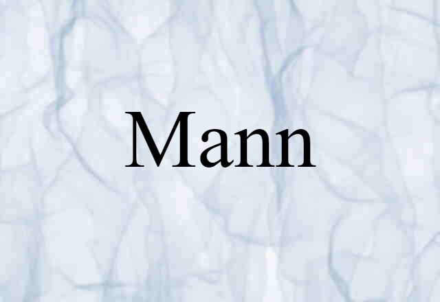 Mann (noun) Definition, Meaning & Examples