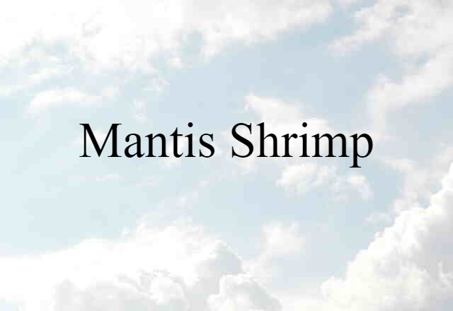 Mantis Shrimp (noun) Definition, Meaning & Examples