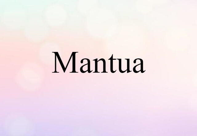 Mantua (noun) Definition, Meaning & Examples