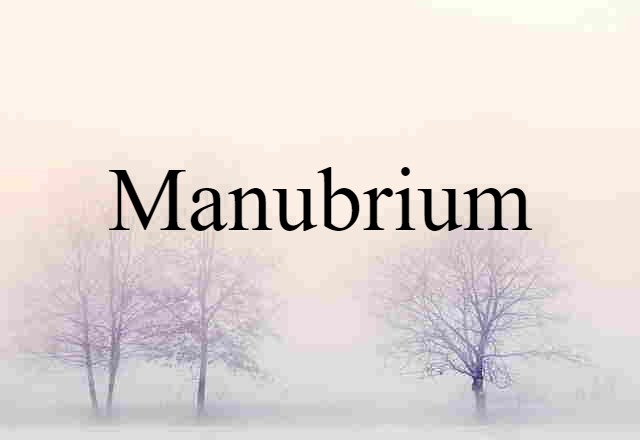 Manubrium (noun) Definition, Meaning & Examples