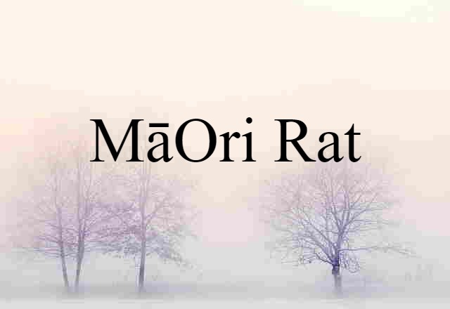 Māori Rat (noun) Definition, Meaning & Examples