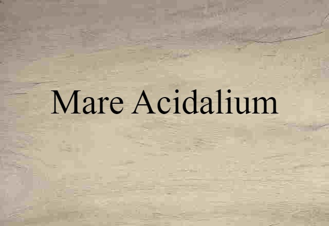 Mare Acidalium (noun) Definition, Meaning & Examples