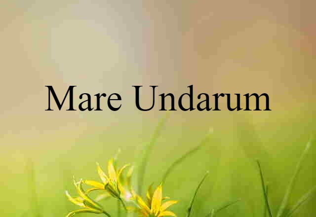 Mare Undarum (noun) Definition, Meaning & Examples