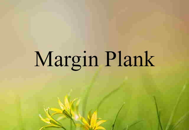 Margin Plank (noun) Definition, Meaning & Examples