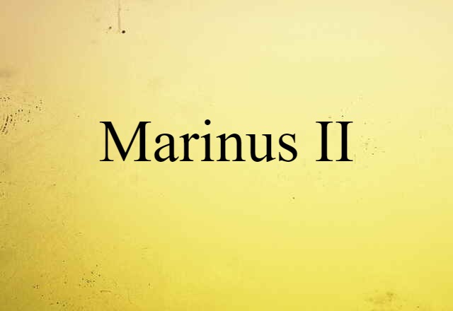 Marinus II (noun) Definition, Meaning & Examples