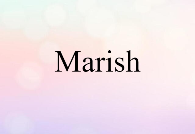 Marish (noun) Definition, Meaning & Examples