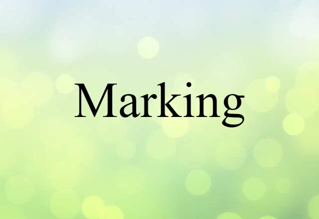 Marking (noun) Definition, Meaning & Examples