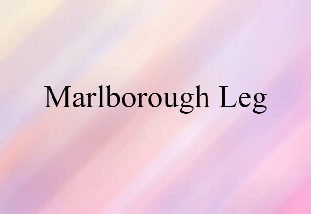 Marlborough Leg (noun) Definition, Meaning & Examples