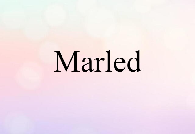 Marled (noun) Definition, Meaning & Examples