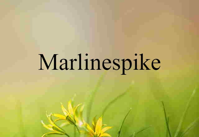 Marlinespike (noun) Definition, Meaning & Examples