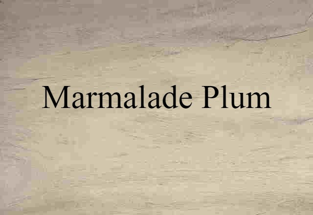 Marmalade Plum (noun) Definition, Meaning & Examples