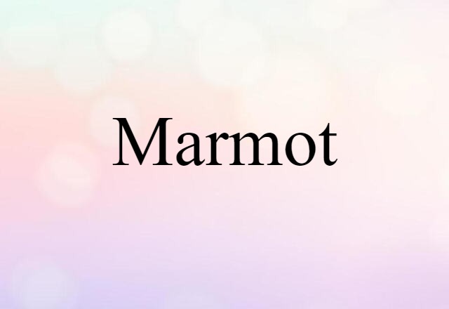 marmot