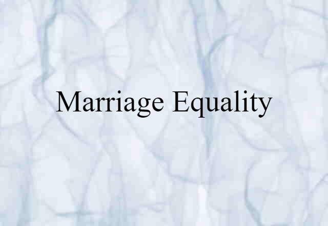 Marriage Equality (noun) Definition, Meaning & Examples