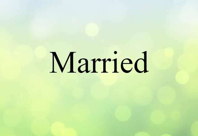 Married (noun) Definition, Meaning & Examples