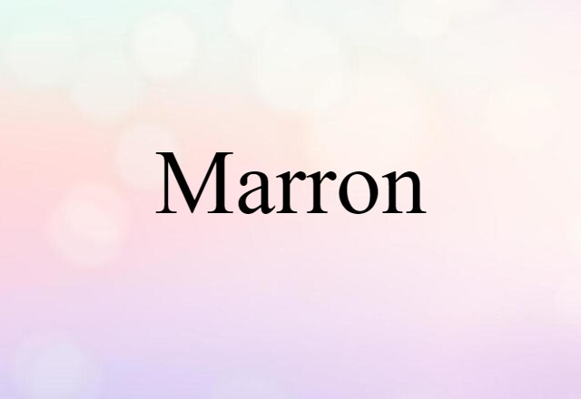 Marron (noun) Definition, Meaning & Examples