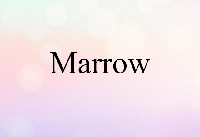 marrow