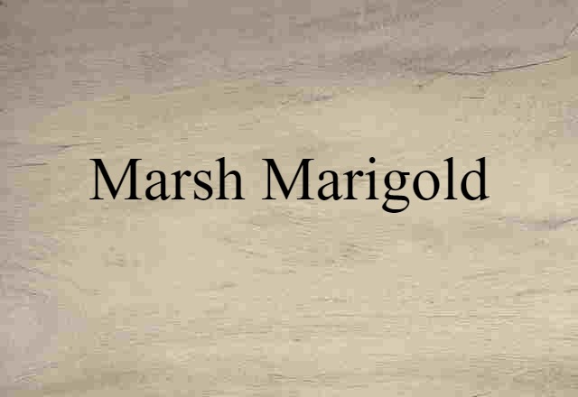 Marsh Marigold (noun) Definition, Meaning & Examples