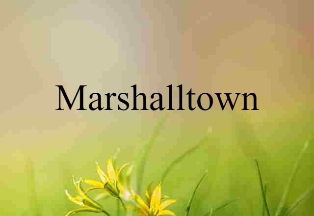 Marshalltown (noun) Definition, Meaning & Examples