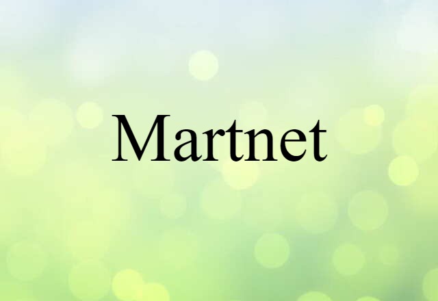 Martnet (noun) Definition, Meaning & Examples