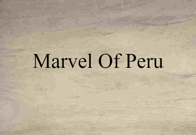 marvel of Peru