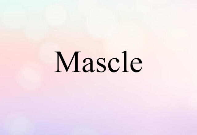 mascle