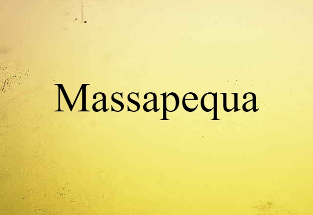 Massapequa (noun) Definition, Meaning & Examples