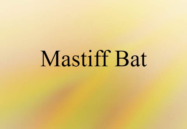 mastiff bat