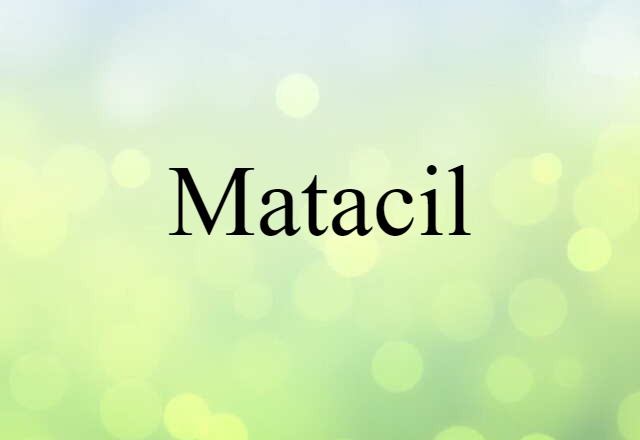 Matacil