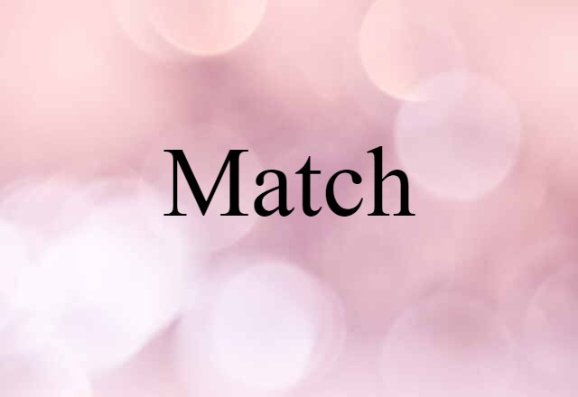 Match (noun) Definition, Meaning & Examples