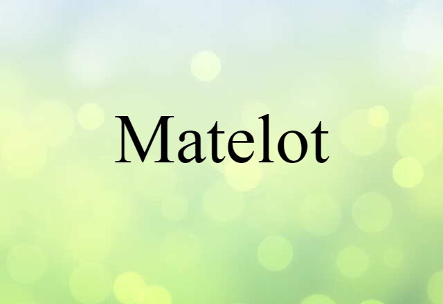 Matelot (noun) Definition, Meaning & Examples