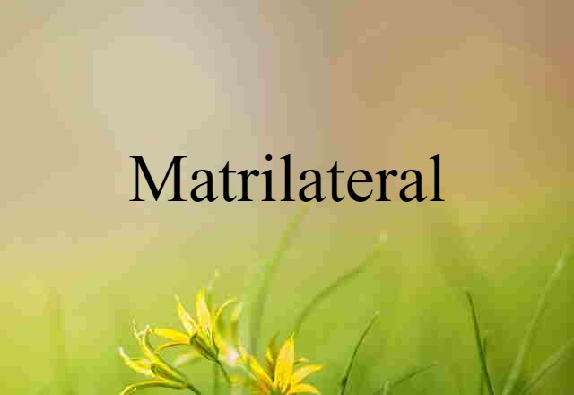 Matrilateral (noun) Definition, Meaning & Examples