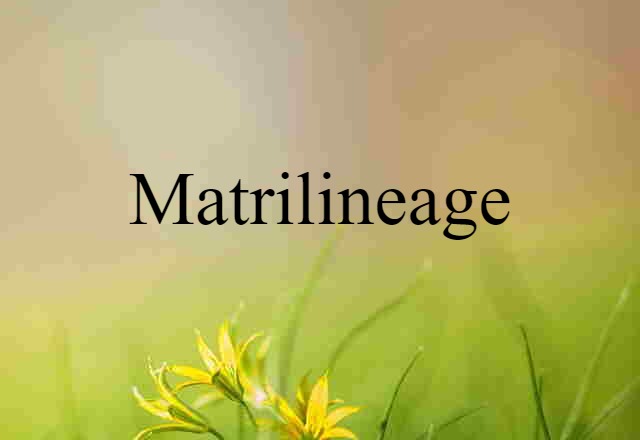 matrilineage