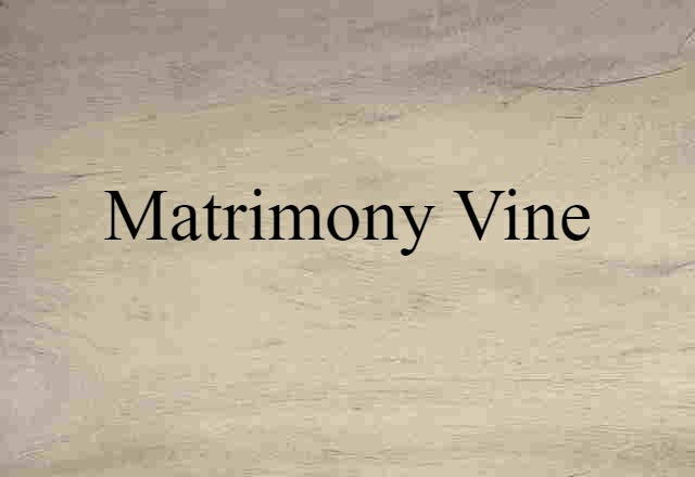 matrimony vine