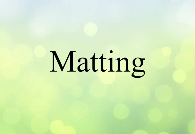 Matting (noun) Definition, Meaning & Examples