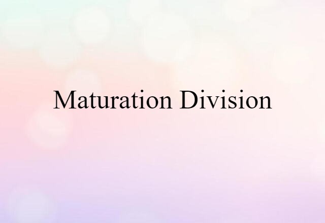 Maturation Division (noun) Definition, Meaning & Examples