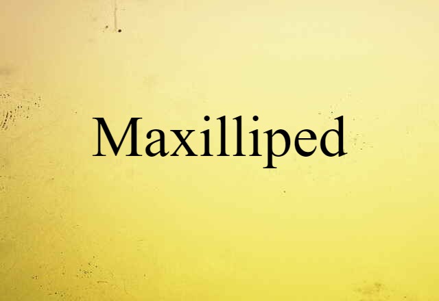 maxilliped