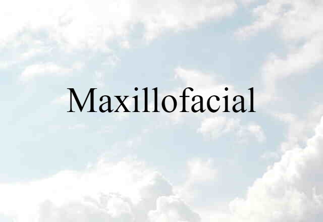 Maxillofacial (noun) Definition, Meaning & Examples