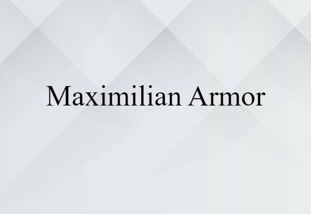 Maximilian Armor (noun) Definition, Meaning & Examples