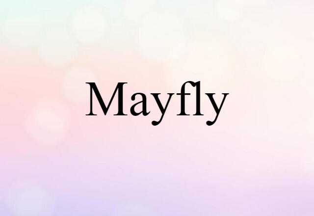 mayfly