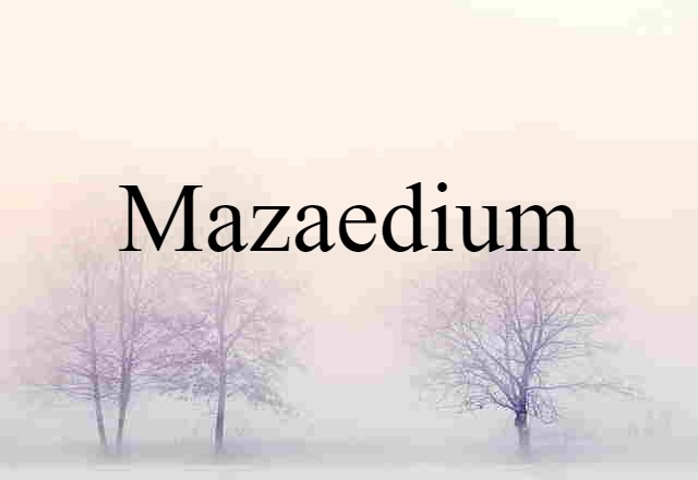 mazaedium