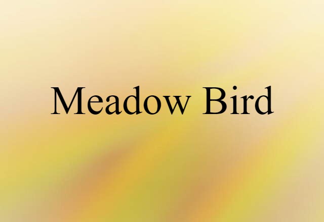 meadow bird