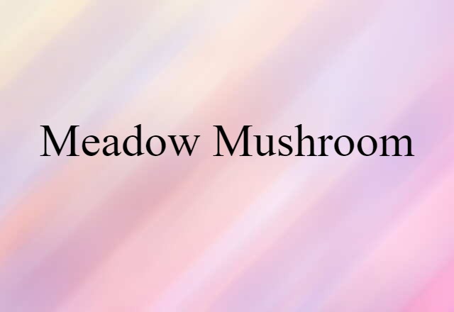 meadow mushroom