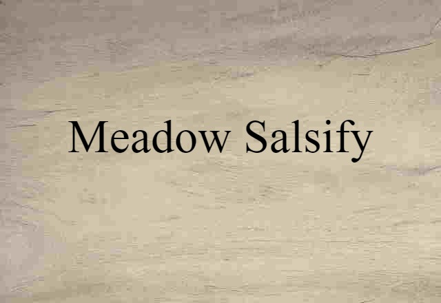 Meadow Salsify (noun) Definition, Meaning & Examples